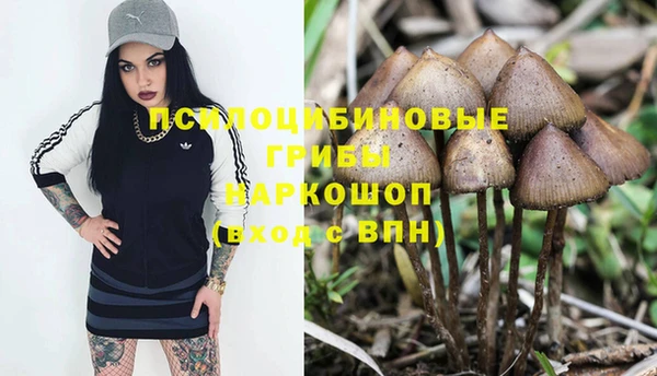 spice Бугульма