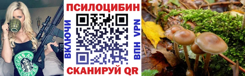Галлюциногенные грибы Cubensis Киреевск